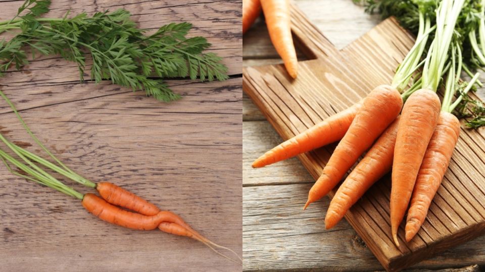 Секреты крупной моркови: как избежать распространенных ошибок дачников