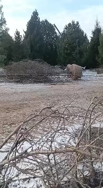 Подписчики прислали материалы, утверждают, что снято в Ябогане