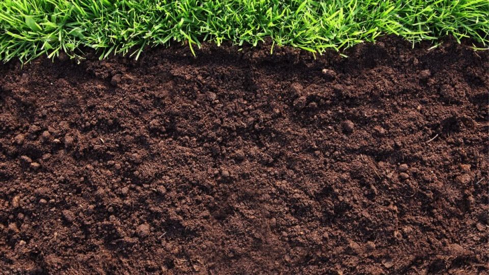 Подкисление щелочной почвы: секреты успешного огородничества