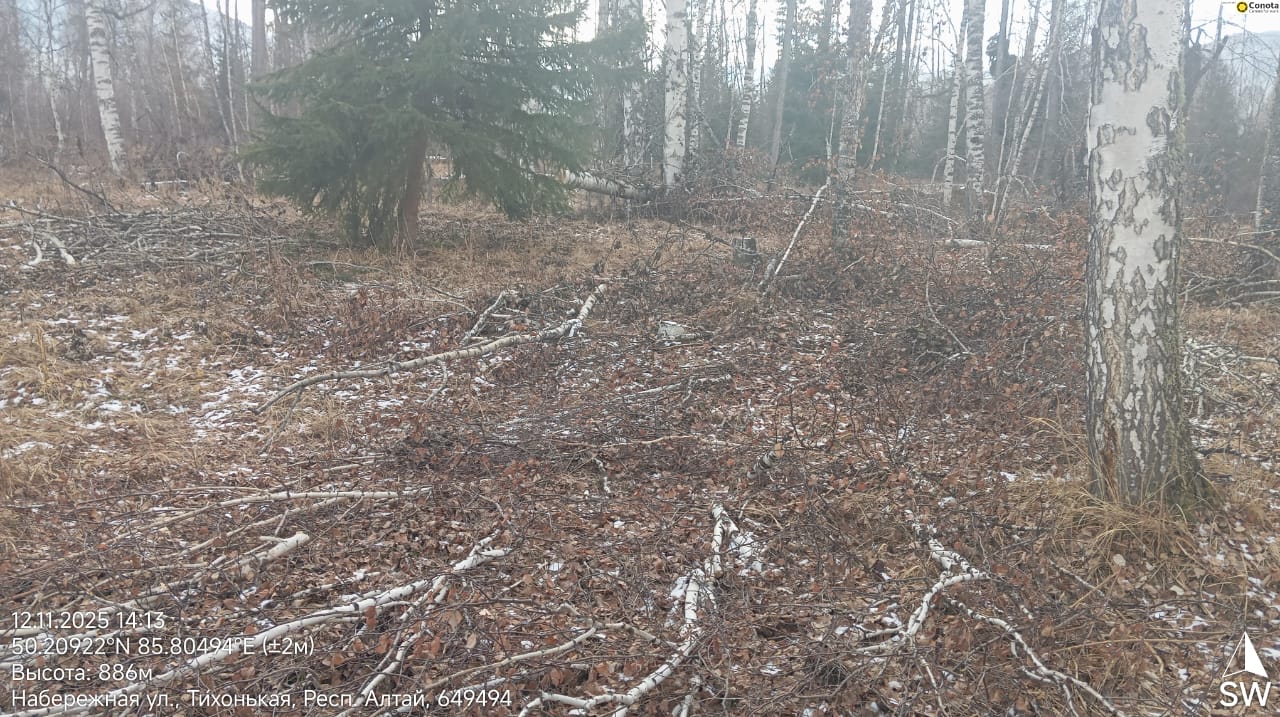 Сотрудники лесной охраны проверили состояние лесных массивов в Онгудайском, Усть-Коксинском и Усть-Канском районах Сотрудники лесной охраны проверили состояние лесных массивов в Онгудайском, Усть-Коксинском и Усть-Канском районах