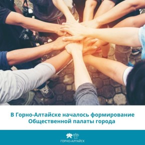 В столице региона продолжается формирование состава Общественной палаты города Горно-Алтайска