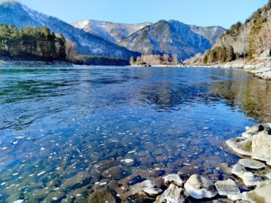 Окрестности села Усть-Муны Майминского района Республики Алтай