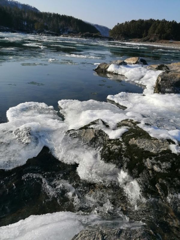 Предзимняя Катунь. Фото от подписчика