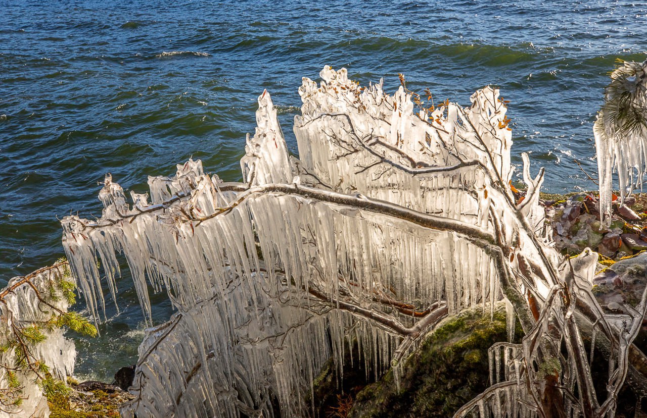 Когда сильный ветер «верховка» разбивает воду о скалы, а мороз мгновенно заковывает брызги в лёд, камни и кусты на берегу оказываются вот в таких хрустальных нарядах Когда сильный ветер «верховка» разбивает воду о скалы, а мороз мгновенно заковывает брызги в лёд, камни и кусты на берегу оказываются вот в таких хрустальных нарядах