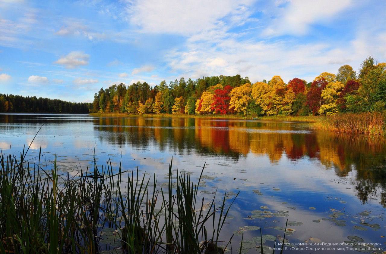 В Федеральном агентстве водных ресурсов подвели итоги Всероссийского конкурса «Водные достояния России (осень) – 2025» В Федеральном агентстве водных ресурсов подвели итоги Всероссийского конкурса «Водные достояния России (осень) – 2025»