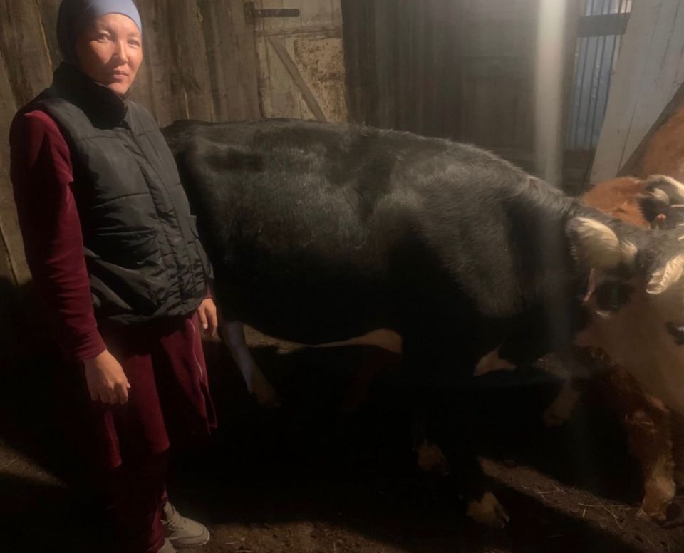 Многодетная мать Назгуль Самажанова из Кош-Агачкого района, воспитывающая пятерых детей, столкнулась с финансовыми трудностями