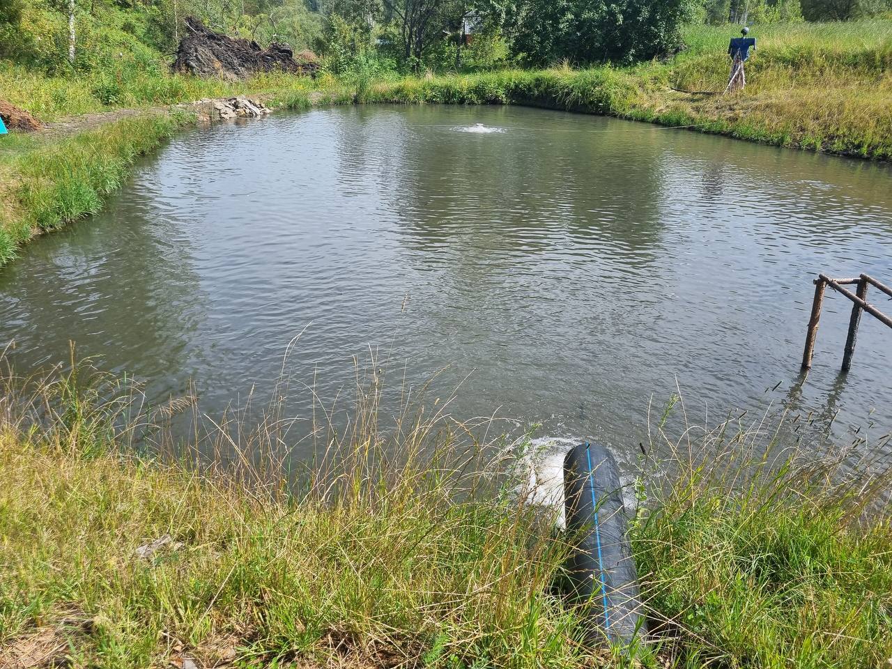 По требованию природоохранного прокурора индивидуальному предпринимателю назначено наказание за незаконное использование водного объекта
