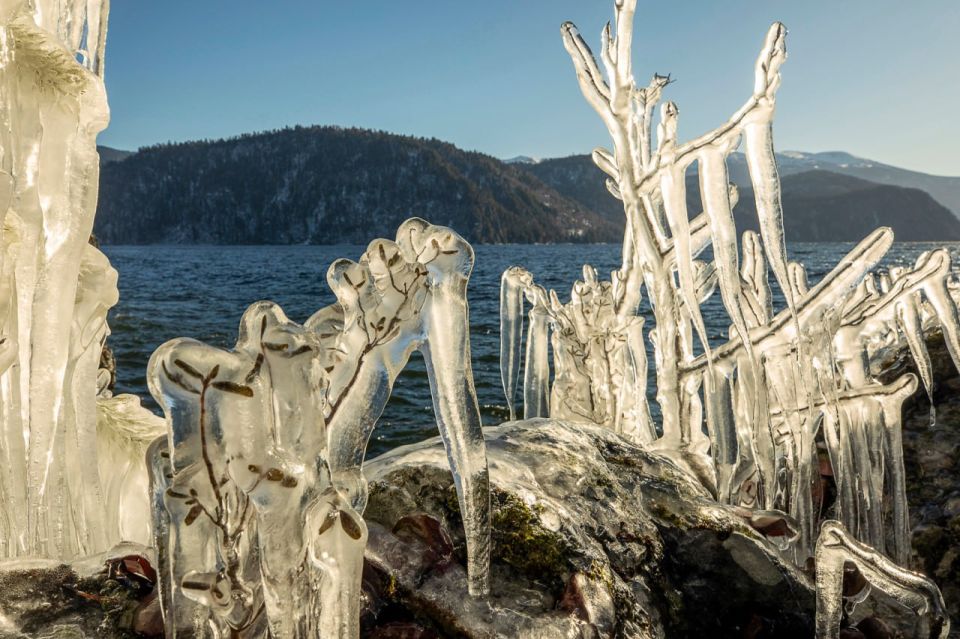 Когда сильный ветер «верховка» разбивает воду о скалы, а мороз мгновенно заковывает брызги в лёд, камни и кусты на берегу оказываются вот в таких хрустальных нарядах