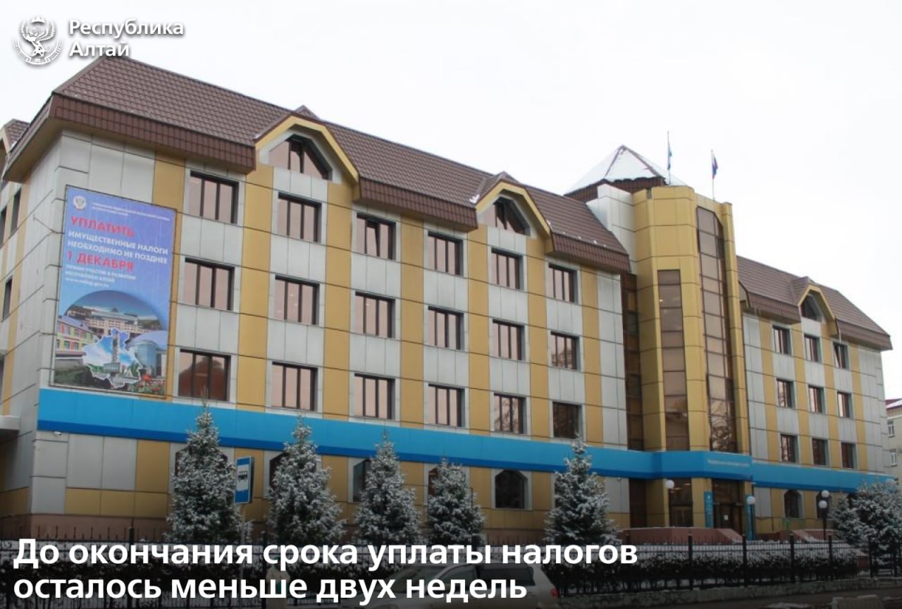 Срок уплаты имущественных налогов физических лиц и НДФЛ истекает 1 декабря