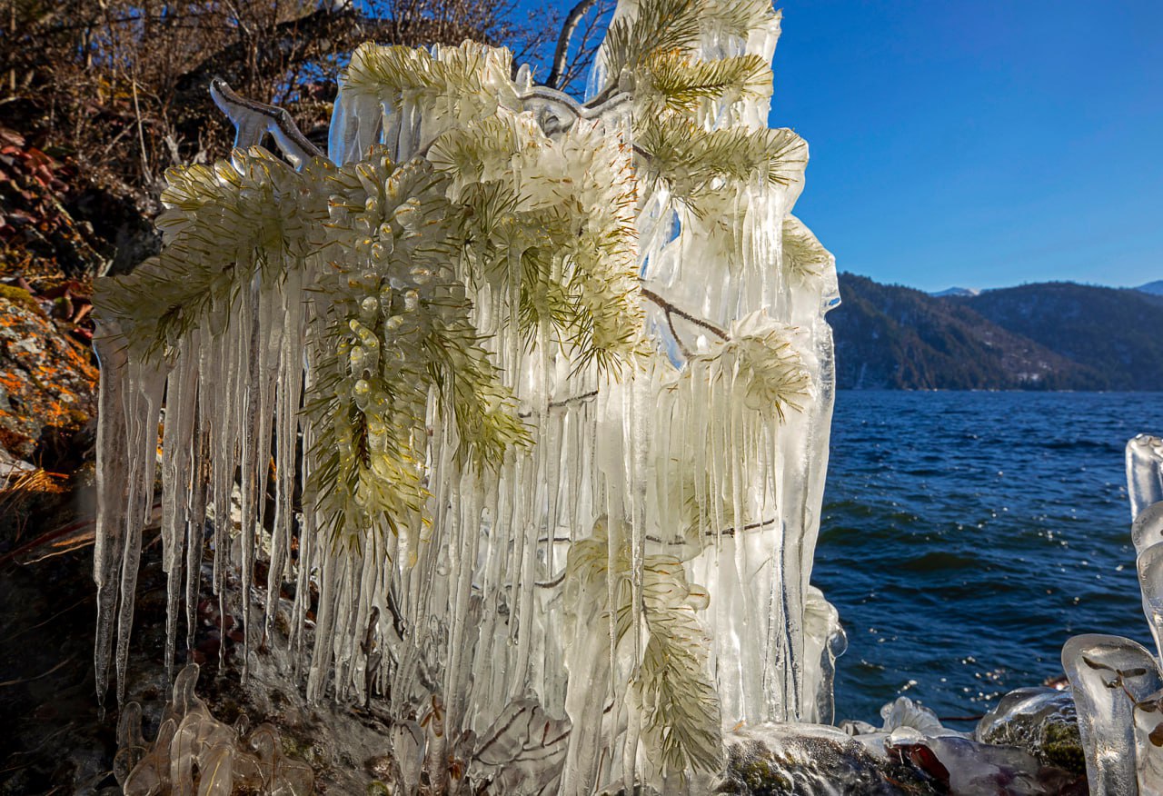 Когда сильный ветер «верховка» разбивает воду о скалы, а мороз мгновенно заковывает брызги в лёд, камни и кусты на берегу оказываются вот в таких хрустальных нарядах Когда сильный ветер «верховка» разбивает воду о скалы, а мороз мгновенно заковывает брызги в лёд, камни и кусты на берегу оказываются вот в таких хрустальных нарядах