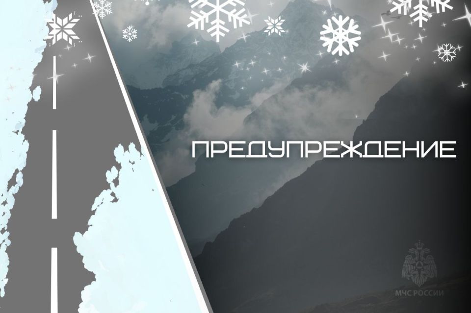 .   ,  24    25       ,  , ,  ,    17-22 /