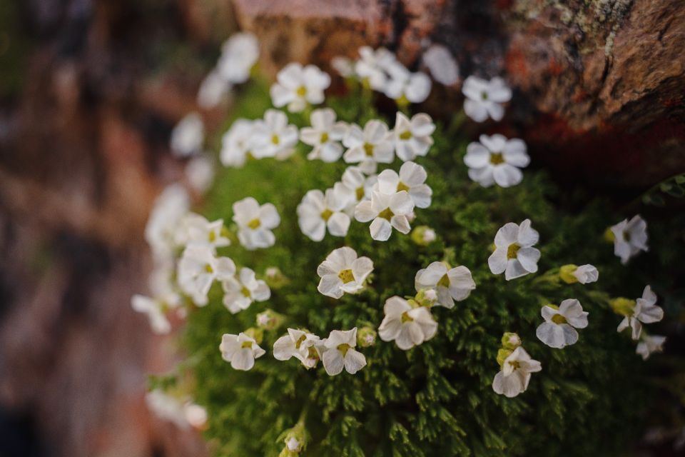 Пока Земля на бешеной скорости несётся в сторону от Солнца — к санкам, лыжам и Новому году, вспомним лето, когда шапку можно было не надевать