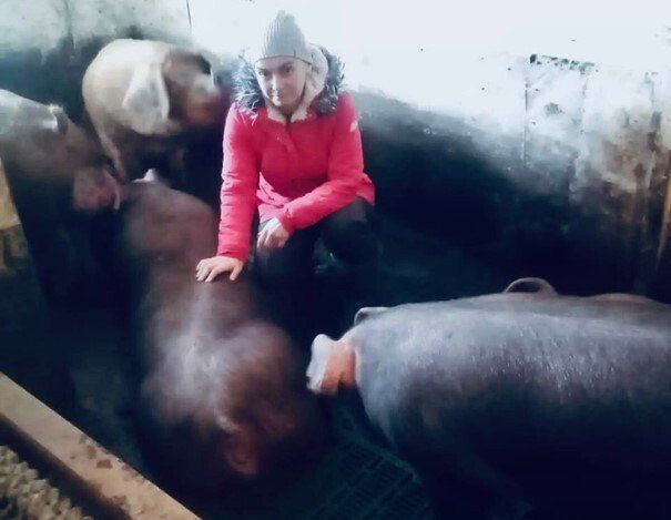 64 семьи из Чойкого района с начала года получили поддержку по соцконтракту, 2 — на поиск работы, 11 — на развитие личного подсобного хозяйства, 30 — на предпринимательскую деятельность, 21 — в связи с трудной жизненной...