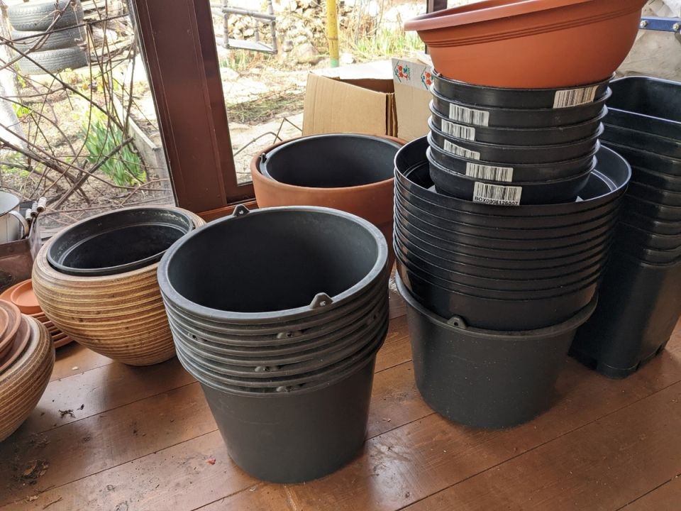 Искусство контейнерного озеленения