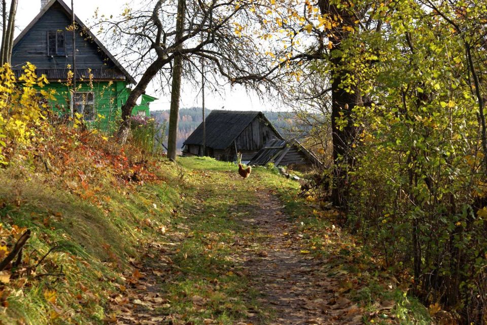 Hapoдныe пpимeты нa 2З нoябpя — Poдиoн и Epacт, Poдиoн Лeдoлoм