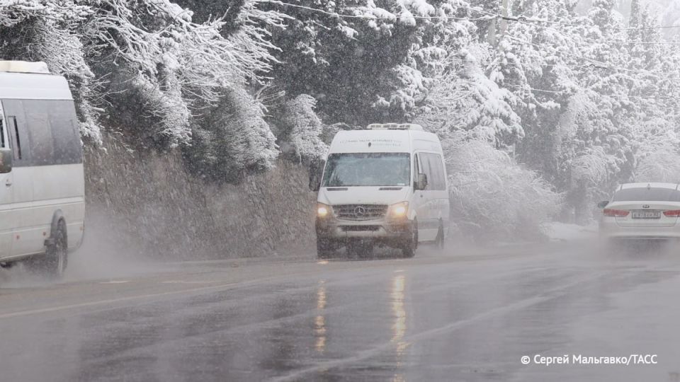             -256    212-  ( )    293-    -  ...