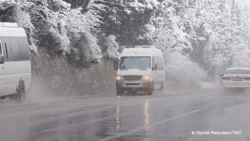             -256    212-  ( )    293-    -  ...