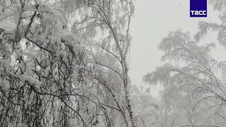  11         ,       ,    -