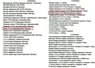 Виноград Тимур: от классики до новых горизонтов