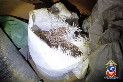 На Алтае полицейские возбудили уголовное дело в отношении наркодельца, заготовившего 18 кг марихуаны