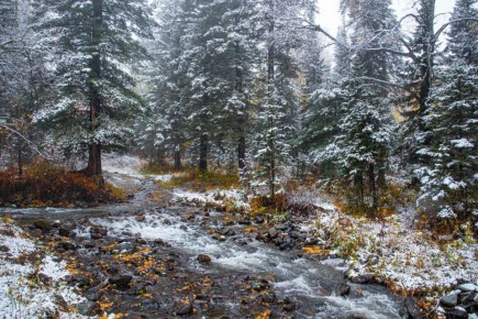 Hapoe pe a 29 op  Maee e