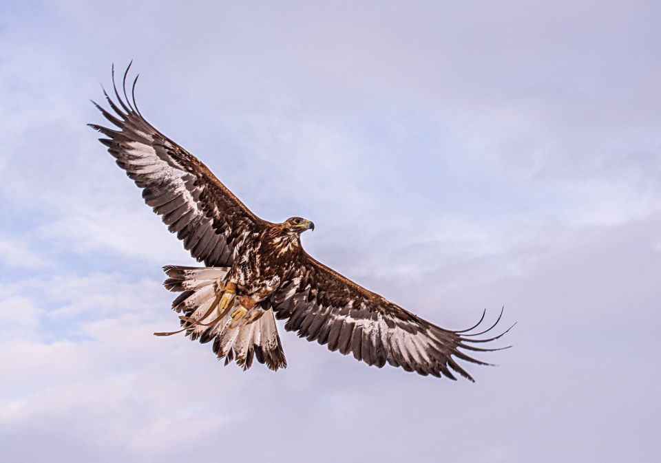 Hapoдныe пpимeты нa 1 дeкaбpя — Плaтoн и Poмaн Зимoукaзaтeли