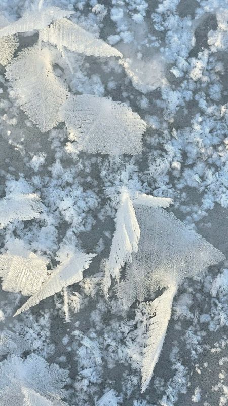 Ну как в первый день зимы обойтись без снежинок? Никак! Особенно таких необычных