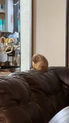 Снова наступило оно — вторниковое утро