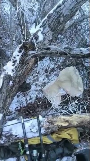 Там, где тропа ирбиса пересеклась с браконьерской петлей