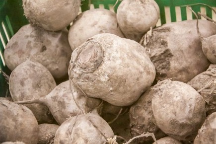 Не отнимайте пользу и вкус долгой варкой свеклы: вот как приготовить ее в разы быстрее – без духовки и микроволновки