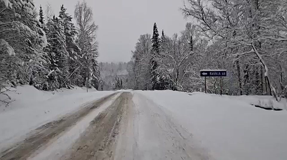Дорога от Верх-Бийска до Артыбаша