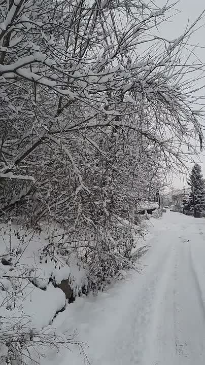 ����� ������� ���������, ����� ��� ������� �� ��. ����������, 27, 29