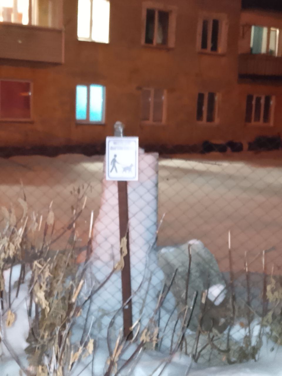 От всех любителей четырехлапых ул. Поселковая выражаем огромную благодарность администрации города, а особенно мэру города Сафроновой Ольге Александровне за организацию площадки для выгула собак От всех любителей четырехлапых ул. Поселковая выражаем огромную благодарность администрации города, а особенно мэру города Сафроновой Ольге Александровне за организацию площадки для выгула собак