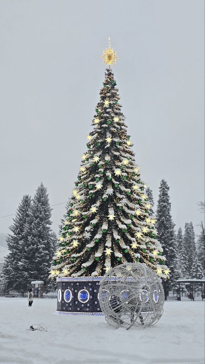Ёлочка на площади. Фото: Наталья Сладкова