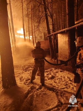 Пожар в Шебалинском районе