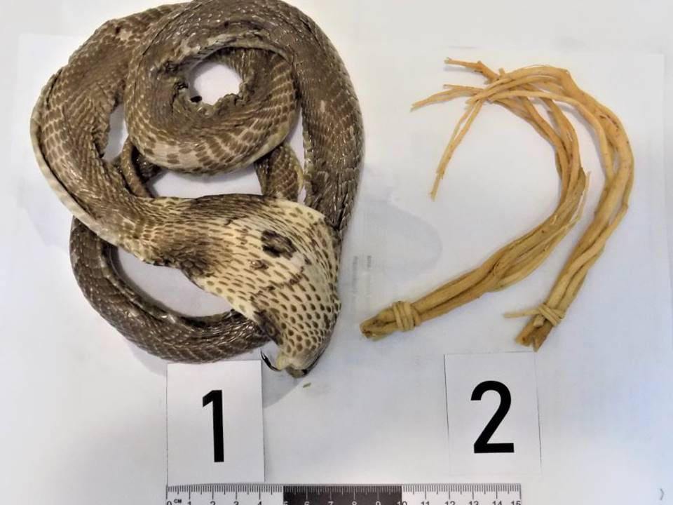 Бутылку "Змеиного вина" с редкой коброй изъяли в аэропорту Барнаула Бутылку "Змеиного вина" с редкой коброй изъяли в аэропорту Барнаула