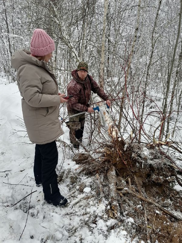 В Республике Алтай усиливают контроль за лесопользованием В Республике Алтай усиливают контроль за лесопользованием