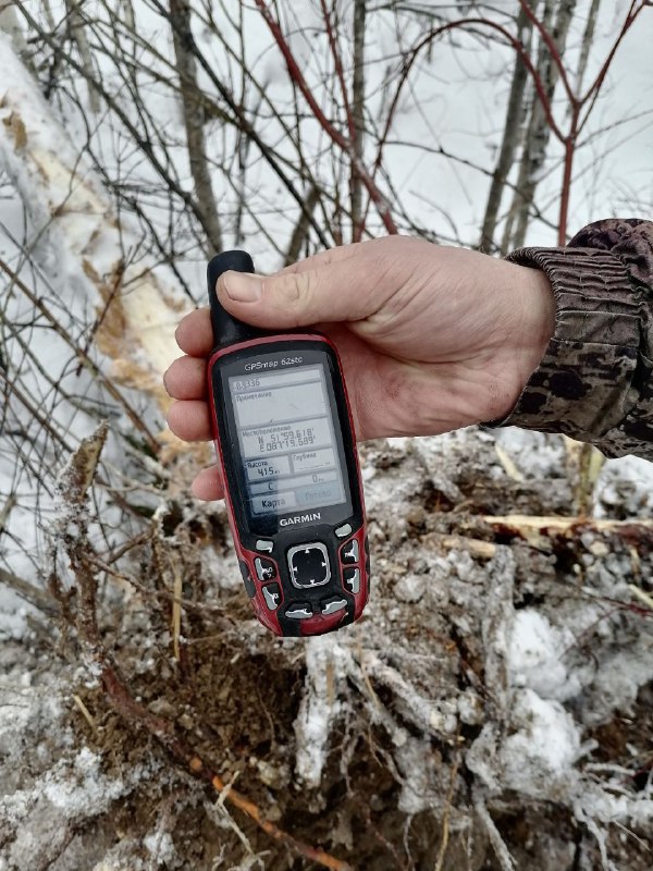 В Республике Алтай усиливают контроль за лесопользованием В Республике Алтай усиливают контроль за лесопользованием