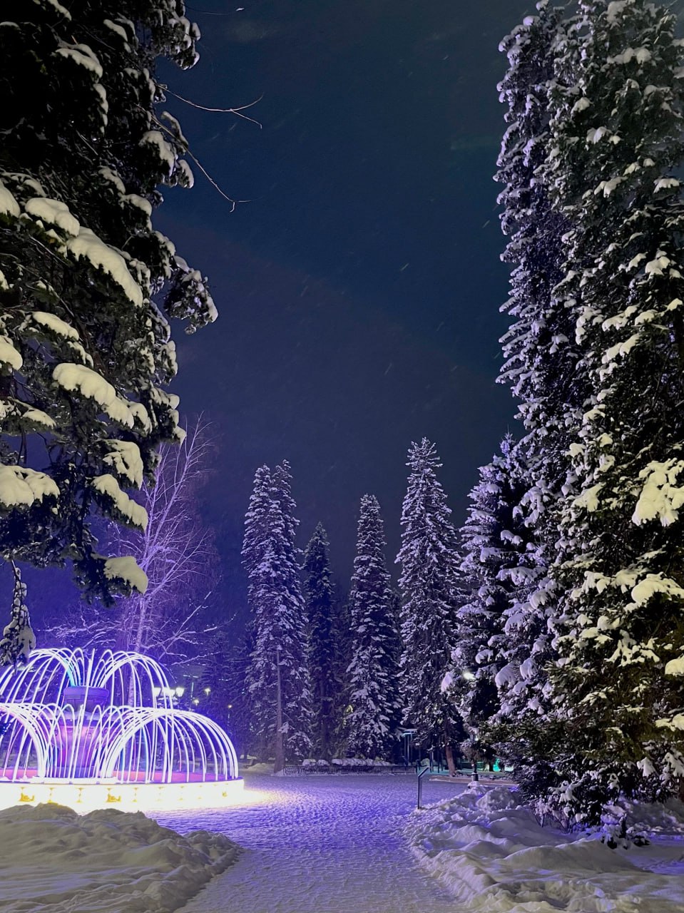 У нас просто сказочно, вы замечали?) Фото: Валентина Чукова