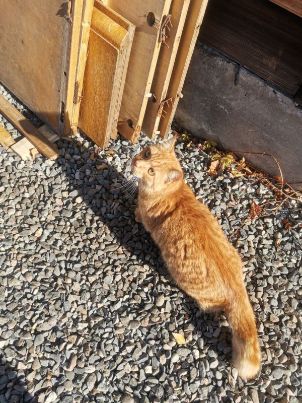 ��������� ��� ������ ����� �� ������ �����