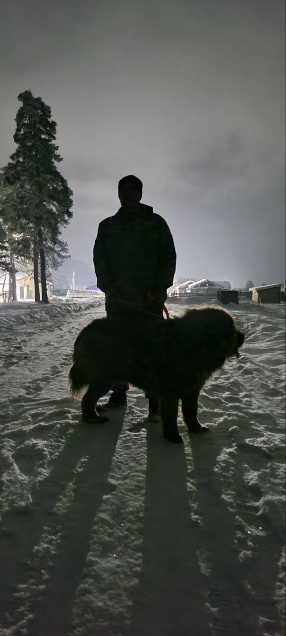 Фотозарисовки из Паспаула. От подписчика