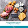 20 декабря на площади имени В.И. Ленина пройдет городская сельскохозяйственная ярмарка