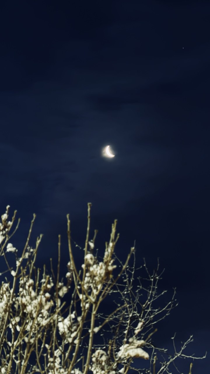 Понедельник снова здесь — полон скрытых возможностей и внезапных планов Понедельник снова здесь — полон скрытых возможностей и внезапных планов