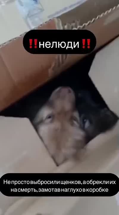 �� ����������. � ������ �������� 6 ���������, ������������ ������! ������� ���� ���������� �������, ���������� ������� ��� ��� ����������! ������ ������ ����, ��� ��������� � ������� �����! ������ ������� ������ ��...