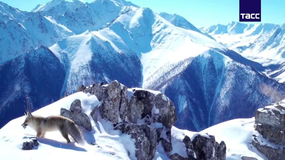 ������ �� ���������� ����� ��� ���������� � ������ ����� ���������� ��������