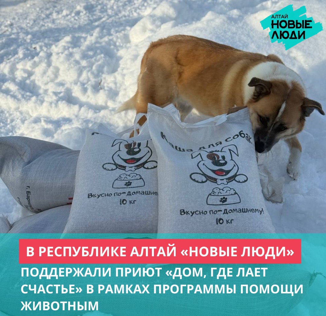 В Республике Алтай «Новые люди» поддержали приют «Дом, где лает счастье» в рамках программы помощи животным