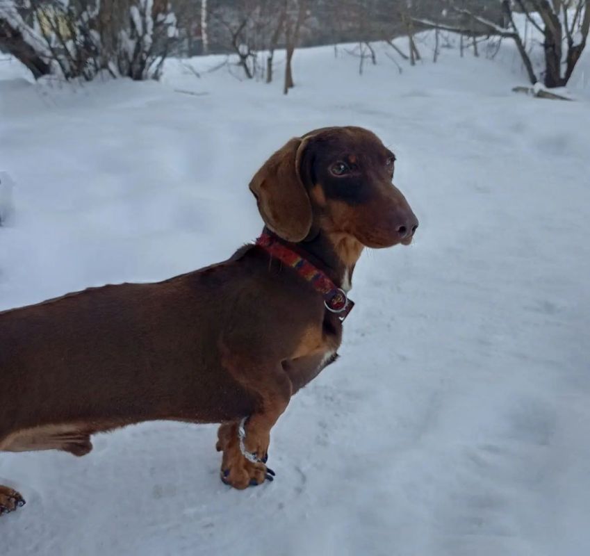 � ������ ���� �127 �� ��������� ���������������� ������ ����� ������ ����� � ��������