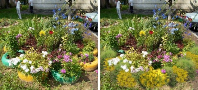 Как оживить неудачный цветник