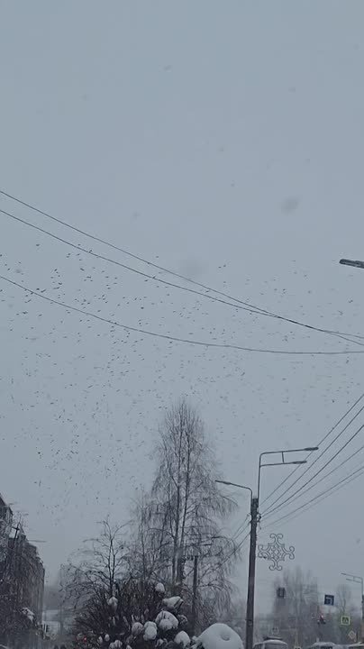 Разлетались тут, понимаешь