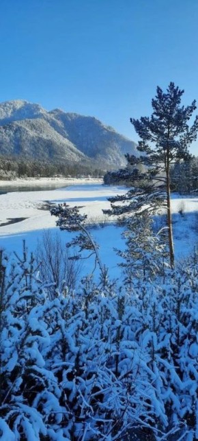 #поэтическоеутро. *** Мы будем думать о весне